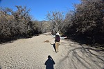 photo thumbnail #5