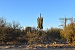 photo thumbnail #13