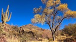 photo thumbnail #10