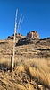 2025-01-20 :1: Reeds & Brads Water Out-n-Back via Whitlow :: joebartels