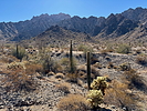 photo thumbnail #4