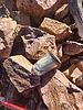 photo thumbnail #14