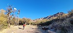 photo thumbnail #4