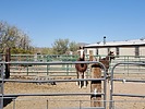 photo thumbnail #7