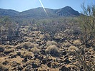 photo thumbnail #13