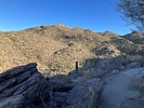 photo thumbnail #6
