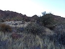 photo thumbnail #6
