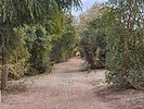 photo thumbnail #5