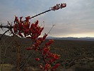 photo thumbnail #4