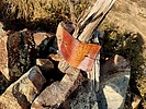 photo thumbnail #3