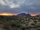 photo thumbnail #10