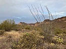 photo thumbnail #13