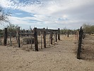 photo thumbnail #6