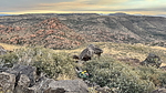 photo thumbnail #4