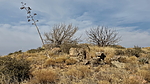 photo thumbnail #10