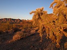 photo thumbnail #7