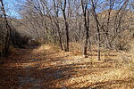 photo thumbnail #5