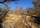 photo thumbnail #13