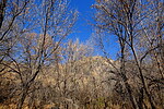photo thumbnail #14