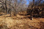 photo thumbnail #15