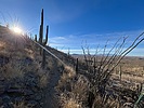photo thumbnail #3
