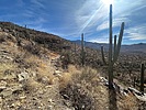 photo thumbnail #9