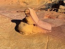 photo thumbnail #7