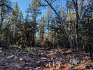 photo thumbnail #1