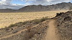 photo thumbnail #7