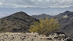 photo thumbnail #12