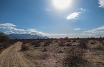 photo thumbnail #1