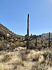 photo thumbnail #14
