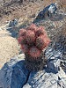 photo thumbnail #2