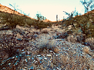 photo thumbnail #2