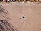 photo thumbnail #14