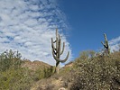 photo thumbnail #10
