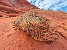 photo thumbnail #9