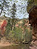 photo thumbnail #8