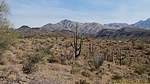 photo thumbnail #6
