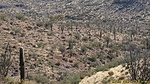 photo thumbnail #10