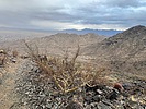 photo thumbnail #3