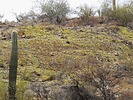 photo thumbnail #2