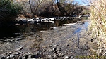 photo thumbnail #11