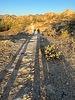 photo thumbnail #6