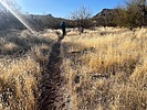 photo thumbnail #11