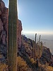 photo thumbnail #6