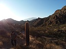 photo thumbnail #3