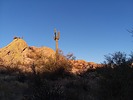 photo thumbnail #2