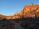 photo thumbnail #1