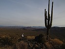 photo thumbnail #7